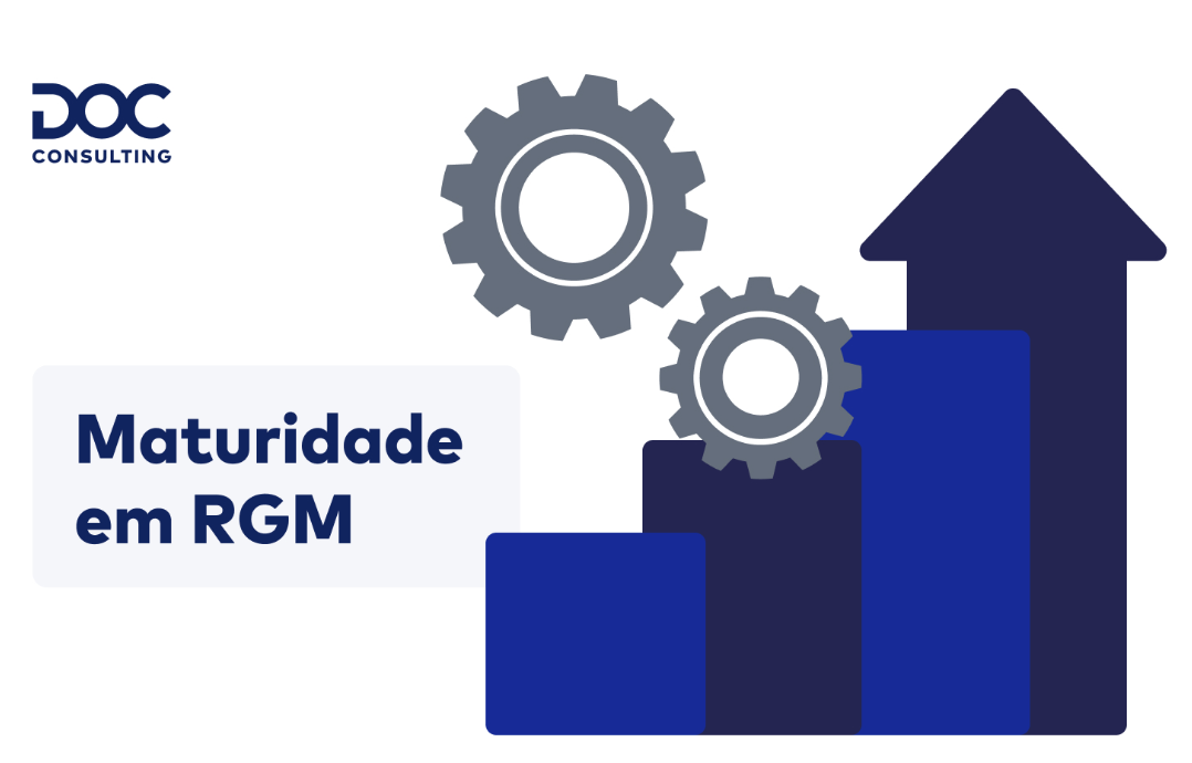 imagem que mostra niveis de maturidade em rgm